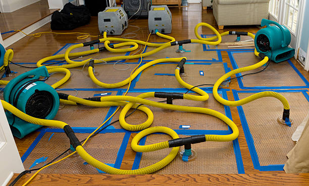 Professional Basement Flood Cleanup technician working in Marietta, SC